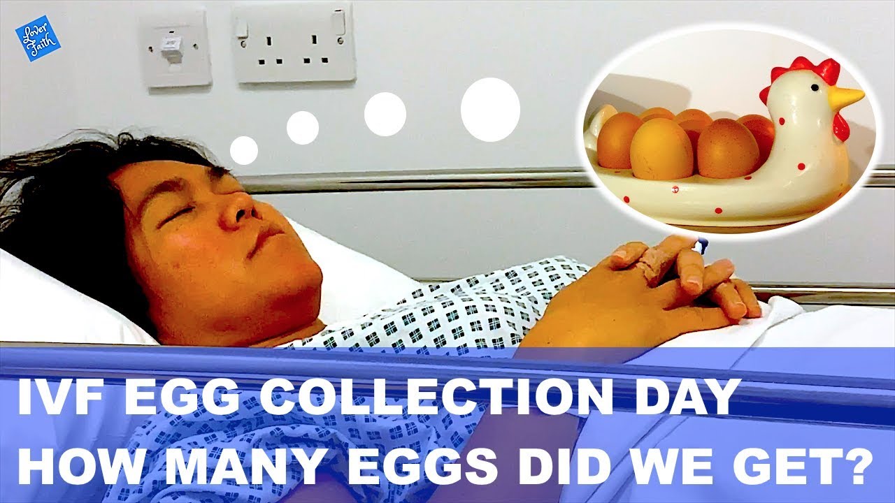 IVF Egg Collection + IVF with ICSI I IVF Egg Collection Symptoms I Vlog 18 YouTube