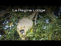 La Regina Lodge - Un lugar inolvidable