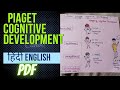 Piaget cognitive development theory