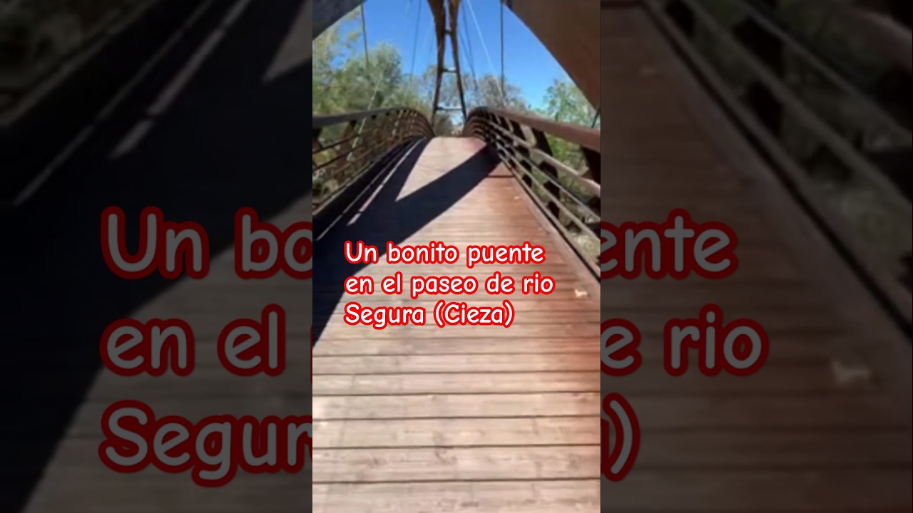 🟣Puente de madera en el río Segura en Cieza @destacar @seguidores