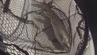 Downrigger trolling for Lake Trout - GoPro Underwater HD Lake George