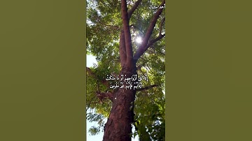 #قرآن #تلاوة_هادئة #اكسبلور #الرحمن