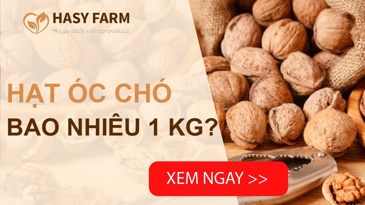 Hạt óc chó giá bao nhiêu 1kg? Bảng giá hạt óc chó cập... - youtube