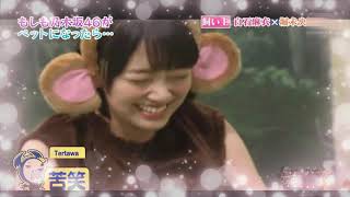 [Sub Indo] Nogizaka46 Funny Acting Skill part 2