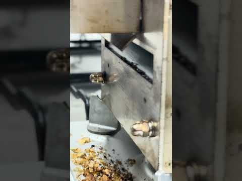 [협찬] 청량감 한도초과!! 여름대비 GSC 생두로 Blend Home Roasting