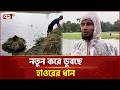 হাওরে আবারও বৃষ্টি নতুন করে ডুবছে হাওরের ধান, শঙ্কিত কৃষক | Haor | Ekattor TV