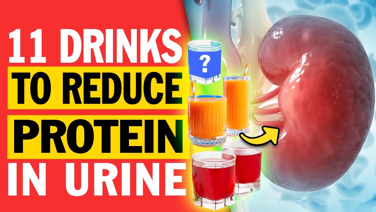 Top 11 Drinks To Reduce Protein In Urine (Proteinuria) - YouTube