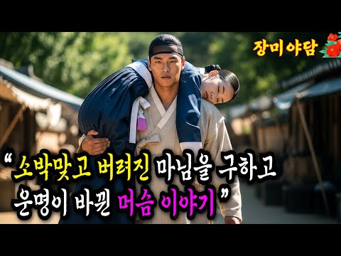 [장미야담 70화] 소박맞고 버려진 마님을 구하고 운명이 바뀐 머슴 이야기 (야담/민담/설화/전설/옛날이야기)