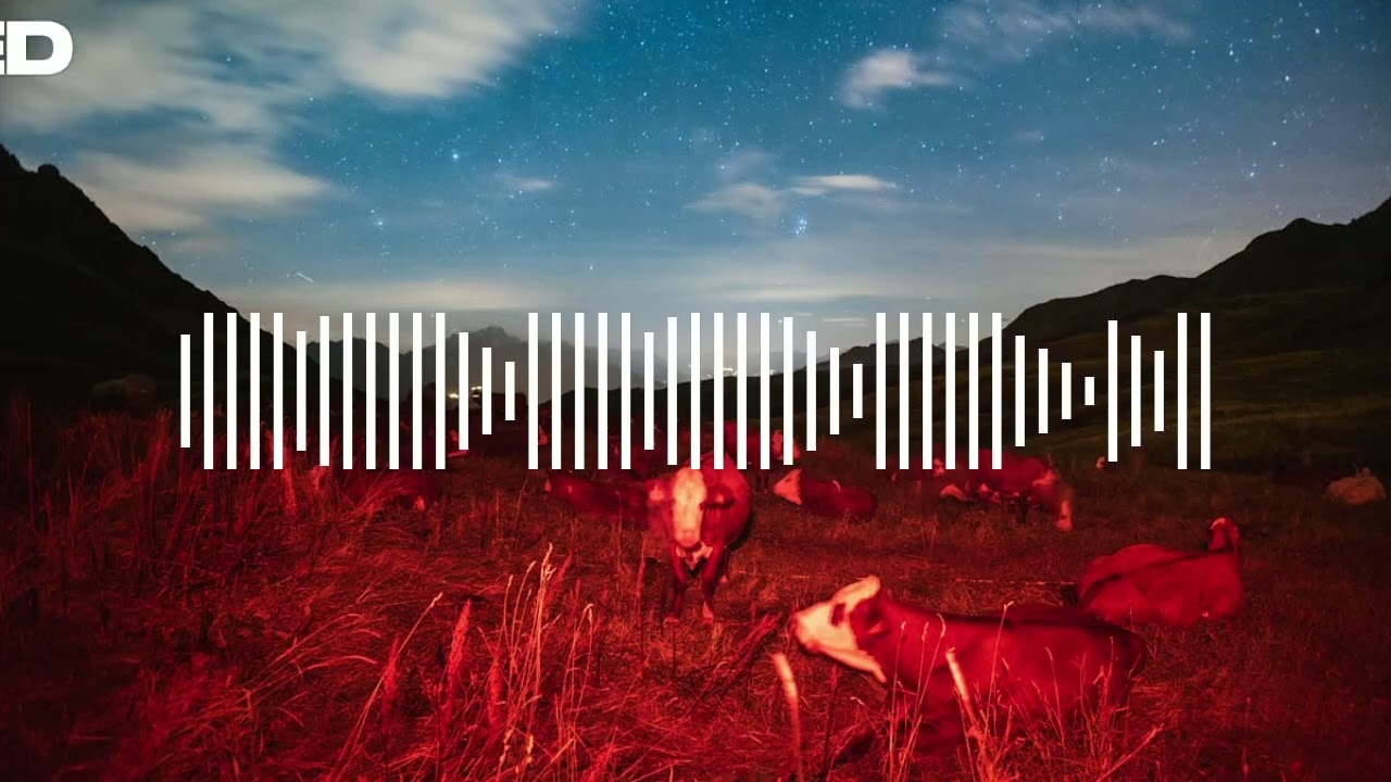 THE  SLEEP WALKER KILLING...,