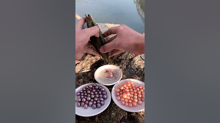 Open an Oyster & Finding This?! (RARE Pearl Discovery!) #shorts #pearl