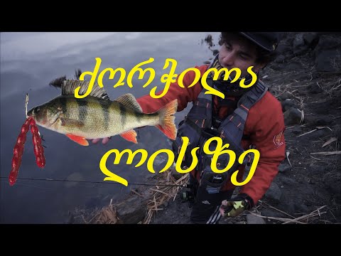 გოლიათი ქორჭილები ლისის ტბაზე