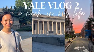 Yale immunobiology lab week in the life