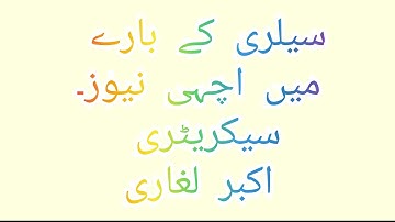 Good News about Salaries | pst jest new update #pstjestsalary #pstjestnewupdate