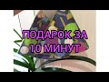 САМЫЙ БЫСТРЫЙ! ЗА 10 МИНУТ! ПОДАРОК!