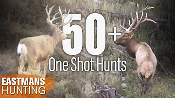 Best One Shot Kills | 50 Rifle and Bow Hunts with Eastmans
