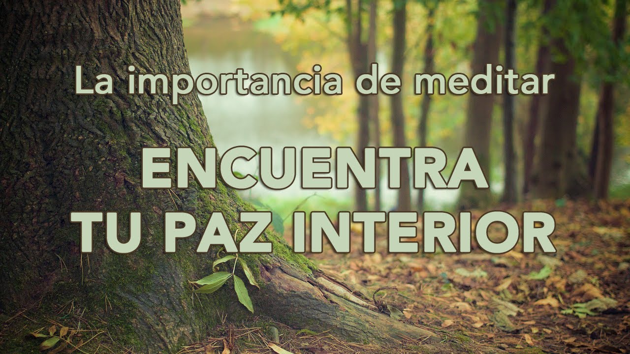 La importancia de MEDITAR: Encuentra tu PAZ interior 🧘🏻 - YouTube