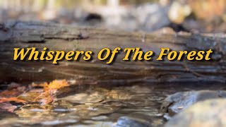 Whispers Of The Forest (Cinematic Short)