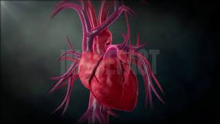 관상동맥우회술, coronary artery bypass graft