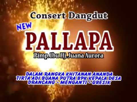 new pallapa]sedingin salju]ani arlita