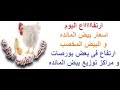 أسعار البيض البيض اليوم الثلاثاء 31 8 2021 بورصه الطبيب البيطرى أسعار البيض البيض اليوم الثلاثاء 31 8 2021 بورصه الطبيب البيطرى