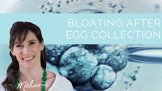 5 tips for bloating after egg collection