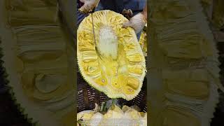Slicing Through the Jackfruit: Unveiling the Secret to Perfect Segments