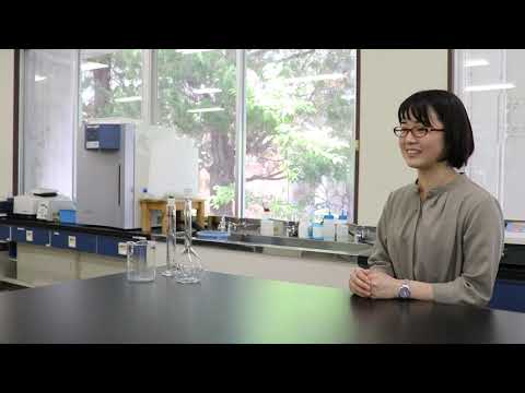 山陽女子短期大学 学校概要 キャリタス進学