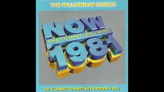 Now Thats What I Call  1981  The Millennium Series 