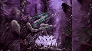Infant Annihilator - Motherless Miscarriage (Album Version) 2016 w/ LYRICS