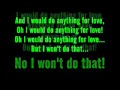 meat loaf i would do anything for love but i wont do that lyrics