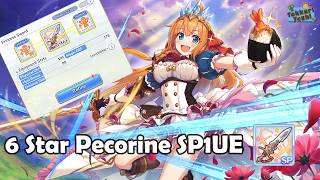 [Princess Connect Re:Dive] 6 Star Pecorine Special Unique Equipment 1 Boost!