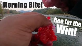 Morning Bite! Float Fishing Vedder River. Drifting Roe and Jigs.