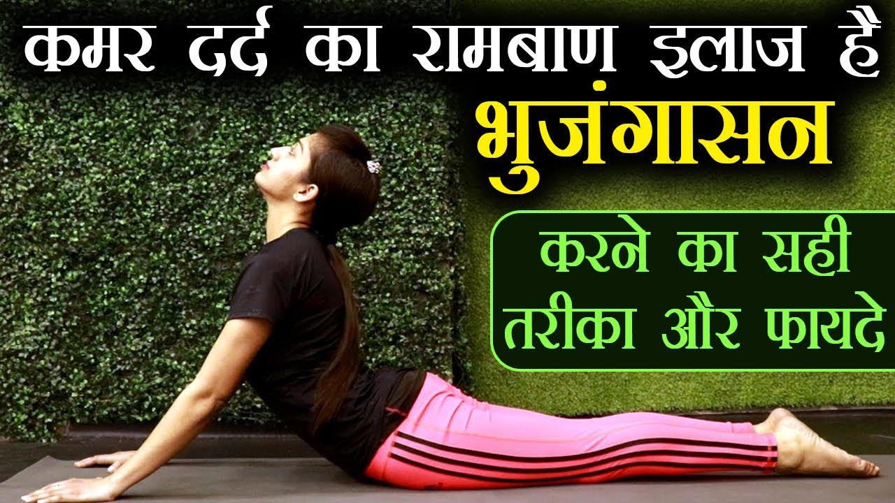 Start your full cobra pose from day 1 || learn Purna Bhujangasana with  chair techniques - YouTube