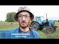 №28 Гербицидная обработка. Обзор всех посевов