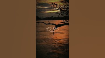 القارئ ياسر الدوسري 🤍 #ياسر_الدوسري #القارئ_ياسر_الدوسري #القرآن_الكريم #quran #fypシ #fyp #قرآن