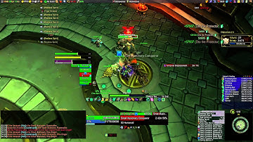 Proven Healer - Mistweaver Monk