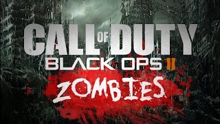 Black Ops 2 Zombies Rap Song By BrySi ft. Meze with Lyrics