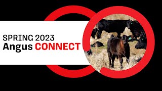 Angus CONNECT – Spring 2023: Full Webinar
