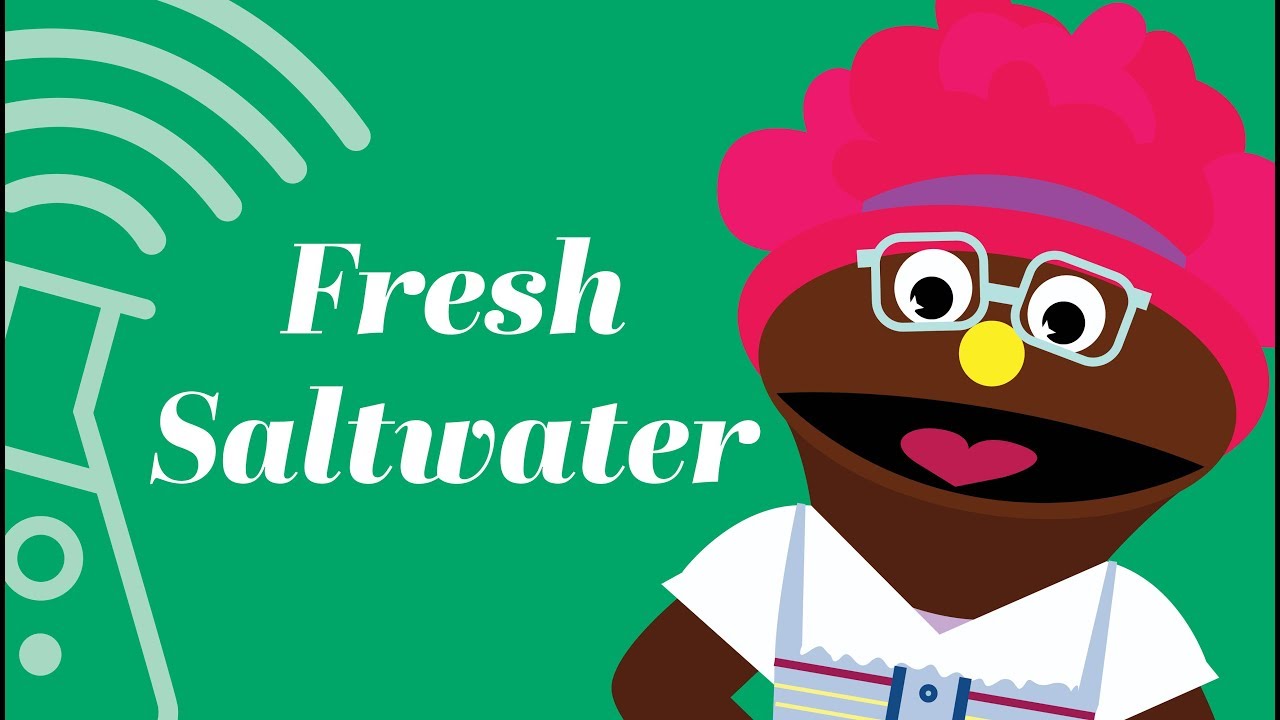 Metro Parent & Michigan Science Center - Virtual Camp 2018: Lesson 5: Fresh Saltwater