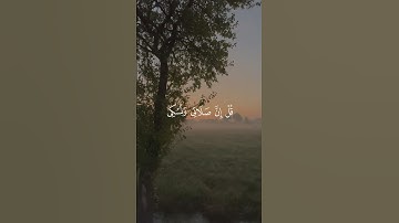 تلاوة من القرآن الكريم بصوت الشيخ ماهر المعيقلي | سورة الأنعام من آية ١٦٢ إلى آية ١٦٣ | تلاوة طيبة
