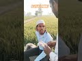 bgair sehari ke rakh liya Roja #krcomedy #funny #comedy