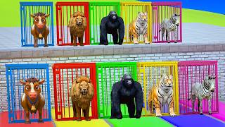 Long Slide Game with Colourful Duck Cow Tiger Gorilla Dog Elephant 3d Animal Game Funny 3d Animals screenshot 5