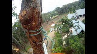 Mornington Peninsula Tree Lopping