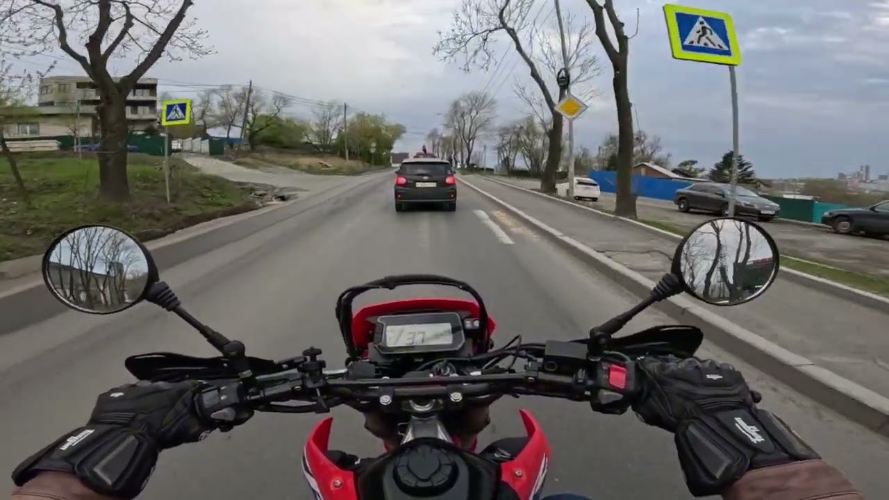 Агрессивные собаки и защита от них. Реальные случаи