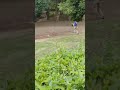 みみずくの調教