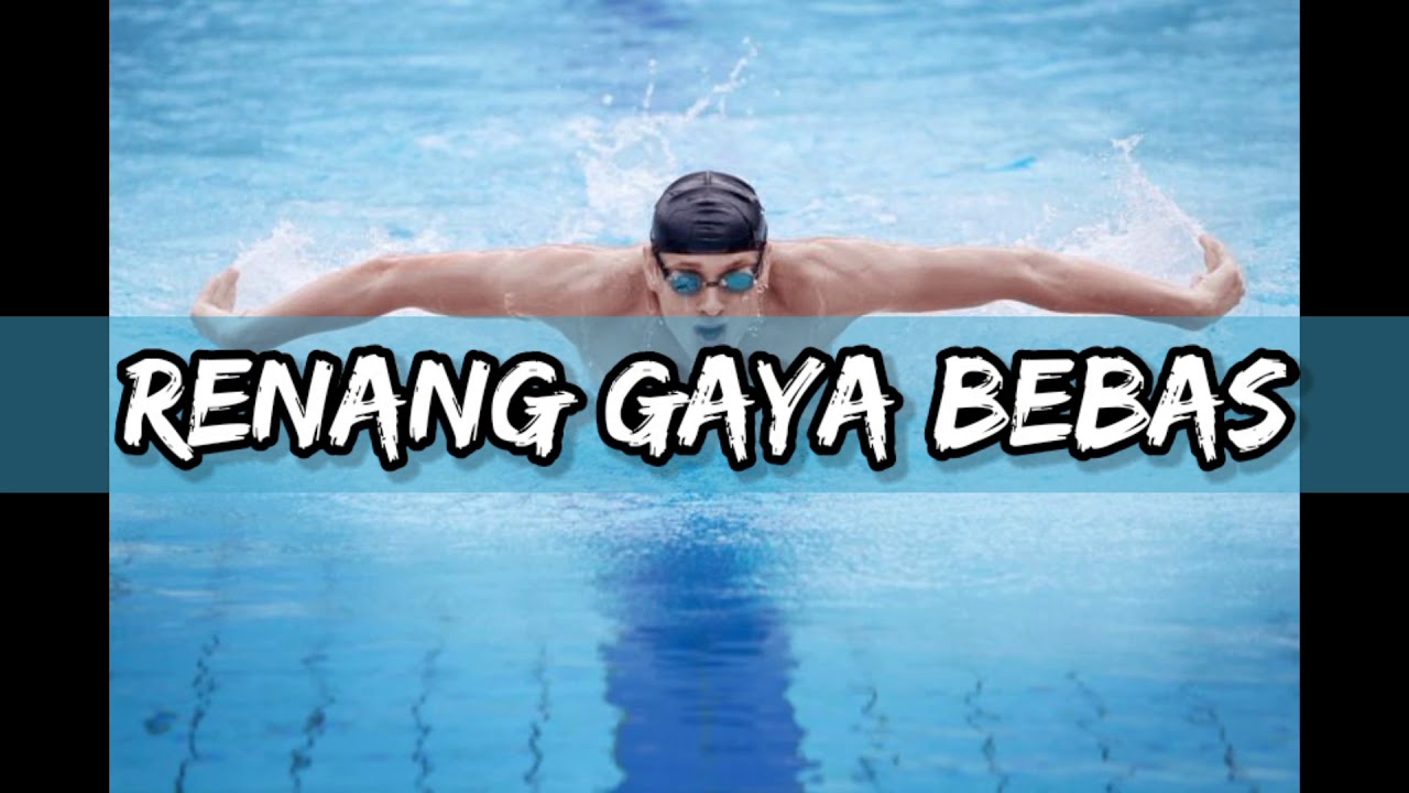 Teknik Renang Gaya Bebas  YouTube