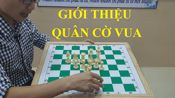 Bài 2 - Giới thiệu về Quân cờ vua - Tự học cờ vua
