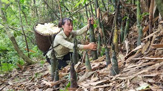 Harvest bamboo shoots and bring them to the market to sell with your daughter | Tương Thị Mai