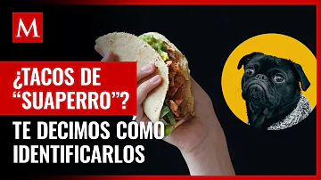 ¿A qué sabe el perro?