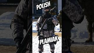 The Dystopian Urban Camouflage Poland Created in the 90s